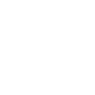Technical aspects: